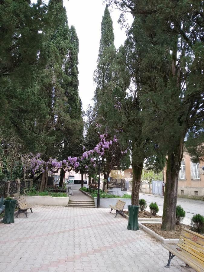 Downtown Guest House Koetaisi Buitenkant foto